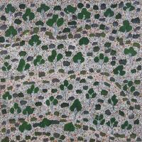 ARTISTS OF AMPILATWATJA , Triptych (Untitled) 2008, synthetic polymer on canvas , 40 x 40cm each (120cm wide overall) - 2