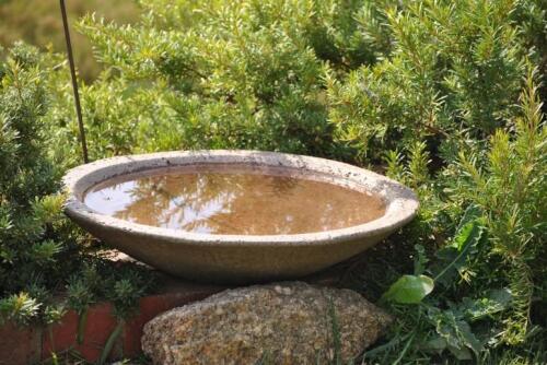 BIRD BATH: A handthrown concrete bird bath, 52cm diameter *(see note)