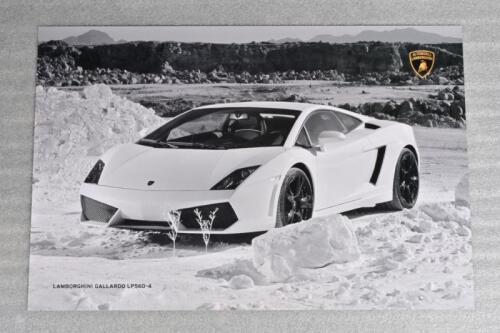 LAMBORGHINI: A Lamborghini Gallardo LP560-4 poster