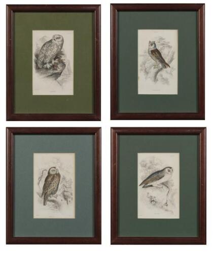 OWLS: A set of four framed owl book plates with additional pages from he same book, and a watercolour