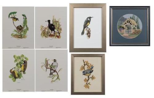 BIRD PRINTS: A collection of bird prints