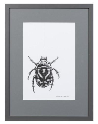 DARRREN GILBERT, Green Fiddler Beetle, monotone etching, 29 x 19.5cm