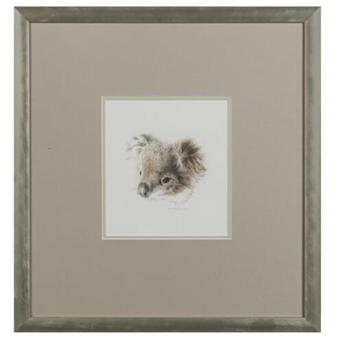 PRUE SANCHEZ, Young Koala (Untitled) 2010, watercolour and pencil, signed lower right: Prue SANCHEZ, 20.5 x 18.5cm