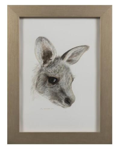 PRUE SANCHEZ, Young Kangaroo (Untitled) 2014, watercolour and pencil, signed lower left: Prue SANCHEZ, 28.5 x 20cm