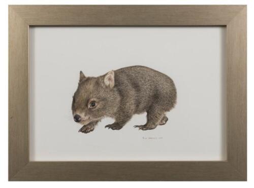 PRUE SANCHEZ, Young Wombat (Untitled) 2016, watercolour and pencil, signed lower right: Prue SANCHEZ, 20 x 29cm