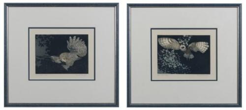 DAVID T BAWYER, Barn Owl and Tawny Owl, colour lithographs, Titled and editioned lower left: Barn Owl 103/200 and Tawny Owl 197/200 and signed lower right: David T Bawyer, 15 x 20cm