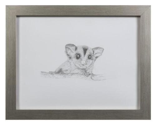 MARG MCKENZIE, Possum (Untitled), pencil on paper, signed lower right of drawing: MARG MCKENZIE, 27 x 36cm