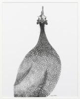 GUINEA FOWL: A pencil drawing of a guinea fowl by Cathy Hamilton and a guinea fowl decorated cushion