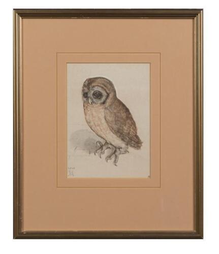 ARTIST UNKNOWN,&nbsp;Owl (Untitled),&nbsp;pencil and watercolour on paper,&nbsp;dated and monogrammed lower left: 1508 / AD,&nbsp;18 x 13cm (image size)