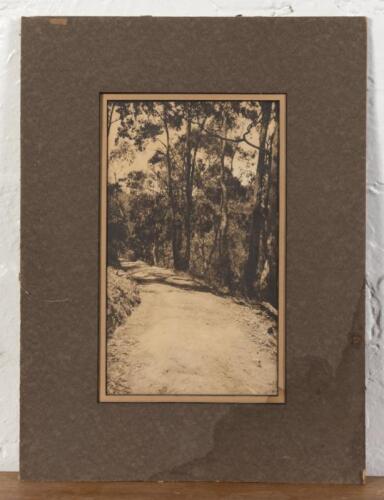 DAYLESFORD: An antique black and white photograph 'On the Track to Argyle Springs', loose in frame and mount, 47 x 34cm overall