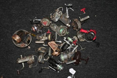 REELS: A collection of fishing reels