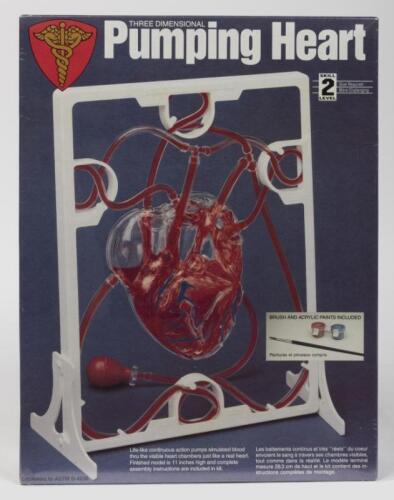 LINDBERG: A NOS Sealed Three Dimensional Pumping Heart model kit