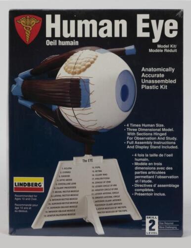 LINDBERG: A NOS Sealed 4:1 Human Eye model kit