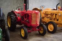 1952 MASSEY-HARRIS 44 STANDARD TRACTOR - 3