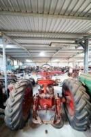 1950 International Harvester Farmall M Tractor - 14