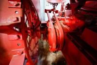 1947 McCormick International W9 Tractor - 7