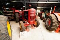 1946 Massey Harris Model 203 Tractor - 4