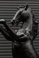 PRANCING HORSE: A life size black fibreglass prancing horse,&nbsp; - 5