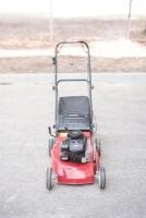 GARDEN A &lsquo;Briggs & Stratton&rsquo; 450 Series 148cc mower with catcher; a Ryobi 30cc (PLT-3043YW) line trimmer in box; together with two Ozito 3 in 1 vacuum/ blower/mulcher.&nbsp;&nbsp; - 2