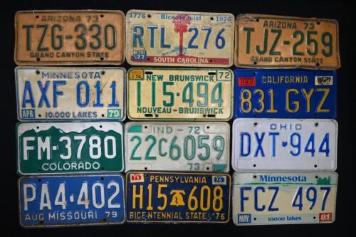 NUMBER PLATES: A collection of twelve 1970 north American number plates