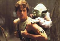 STAR WARS: A colour The Empire Strikes Back post card depicting Luke Skywalker and Yoda both sides autographed by Frank Oz