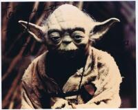 STAR WARS: A colour picture of Yoda autographed by Frank Oz with personalised message