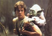 STAR WARS: A colour post card depicting Luke Skywalker and Yoda autographed by Mark Hamill
