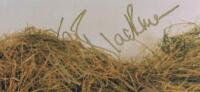 HONOR BLACKMAN: A colour picture depicting Honor Blackman as 'Pussy Galore' autographed by Honor Blackman - 2