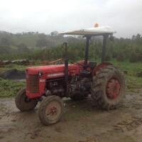 1960 Massey Ferguson 65 MK I (Located in Birdwood SA region) - 5
