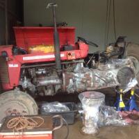 1960 Massey Ferguson 65 MK I (Located in Birdwood SA region) - 9