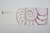 RAPIDE: A collection of Aston Martin Rapide sales brochures. - 8