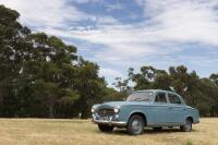 1965 PEUGEOT 403 Lovely, largely original Peugeot 403 - 7
