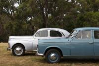 1965 PEUGEOT 403 Lovely, largely original Peugeot 403 - 40