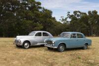 1965 PEUGEOT 403 Lovely, largely original Peugeot 403 - 41